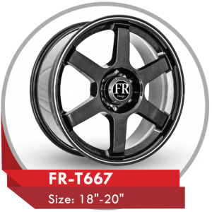 FR-T667 RIMS